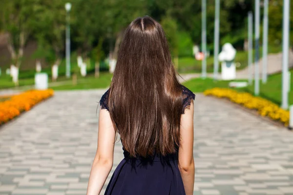 女性ブルネットの髪 後部ビュー サマーパーク — ストック写真