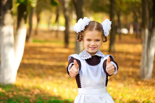 Ritratto Bellissimo Giovane Prima Elementare Uniforme Scolastica Festiva Sullo Sfondo — Foto Stock