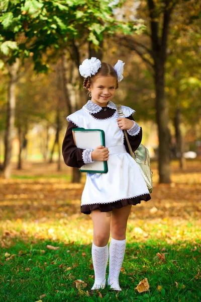 Retrato Belo Jovem Aluno Primeira Série Uniforme Escolar Festivo Parque — Fotografia de Stock