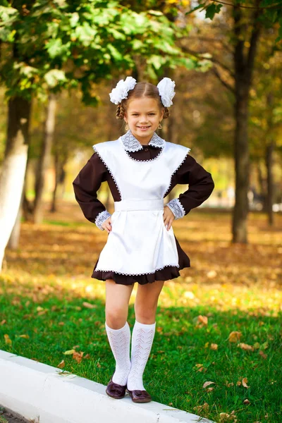 Retrato Una Hermosa Joven Primer Grado Uniforme Escolar Festivo Parque —  Fotos de Stock