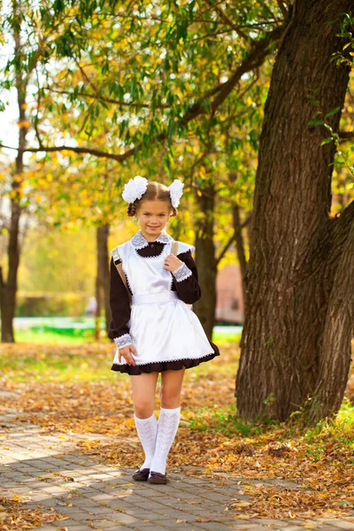 秋の公園を背景に制服を着たお祝いの学校で美しい若い1年生の肖像画 — ストック写真