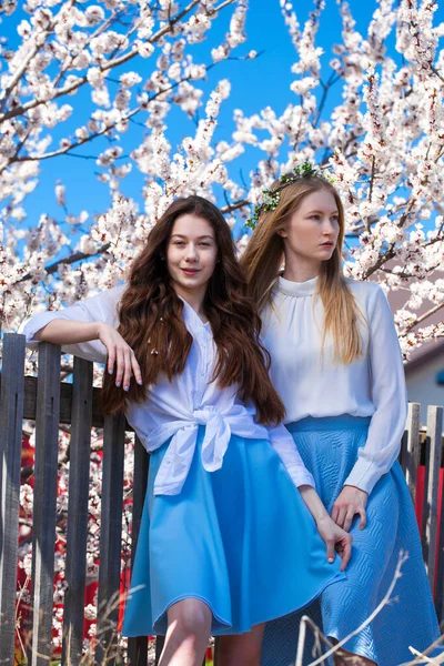 Két Boldog Lány Pózol Kertben Cseresznyefa Mellett Fehér Virágokkal Tavasz — Stock Fotó