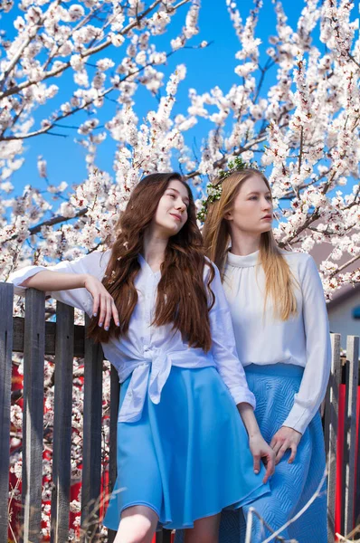 Duas Meninas Felizes Posando Jardim Perto Árvore Cereja Flor Com — Fotografia de Stock