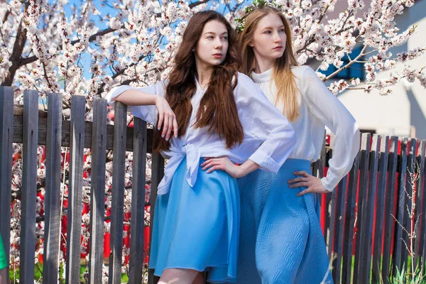 Zwei Glückliche Mädchen Posieren Garten Neben Dem Blühenden Kirschbaum Mit — Stockfoto
