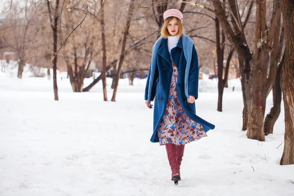 Kış Parkında Genç Güzel Bir Kızın Portresi — Stok fotoğraf
