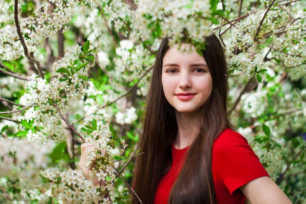 Linda Chica Adolescente Están Posando Jardín Cerca Cerezo Flor Con —  Fotos de Stock