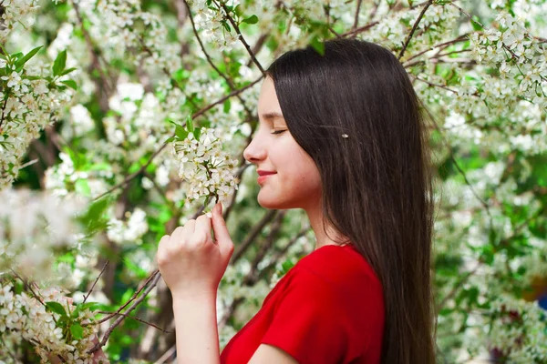 Söt Tonåring Poserar Trädgården Nära Blommande Körsbärsträd Med Vita Blommor — Stockfoto