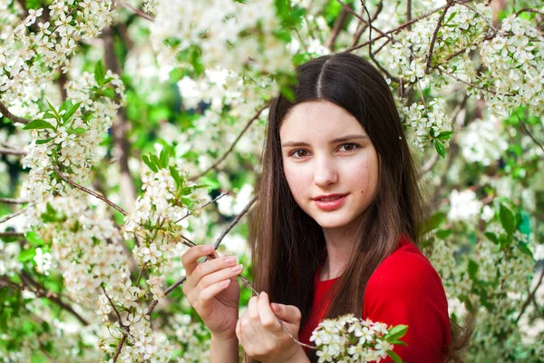 Güzel Genç Kız Çiçek Açan Kiraz Ağacının Yanında Beyaz Çiçeklerle — Stok fotoğraf