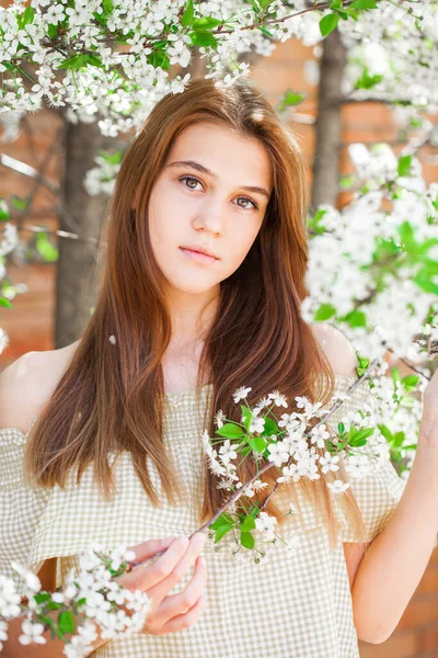 Linda Chica Adolescente Están Posando Jardín Cerca Cerezo Flor Con —  Fotos de Stock