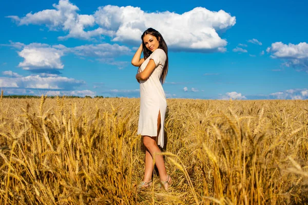 Portrét Mladé Brunetky Pozadí Zlatého Pšeničného Pole Letní Venku — Stock fotografie