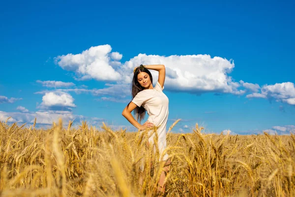 Портрет Юной Брюнетки Фоне Золотого Пшеничного Поля Лето Открытом Воздухе — стоковое фото
