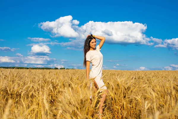 ปภาพของหญ งสาวผ าตาล บนพ นหล งของสนามข าวสาล ทองค กลางแจ งฤด — ภาพถ่ายสต็อก