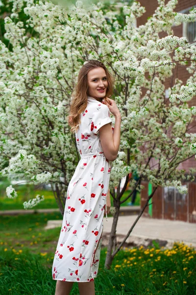 Beyaz Elbiseli Güzel Bir Kadının Portresi Parktaki Kiraz Çiçeğinin Arka — Stok fotoğraf