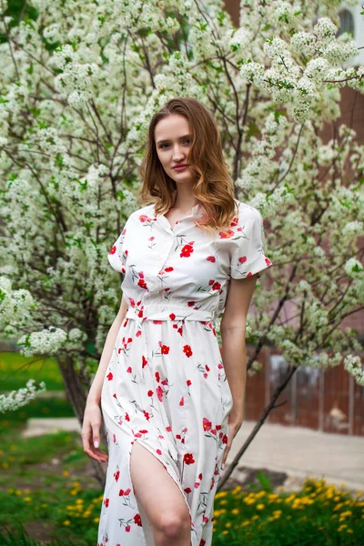 Retrato Uma Jovem Mulher Bonita Vestido Branco Posando Fundo Cereja — Fotografia de Stock