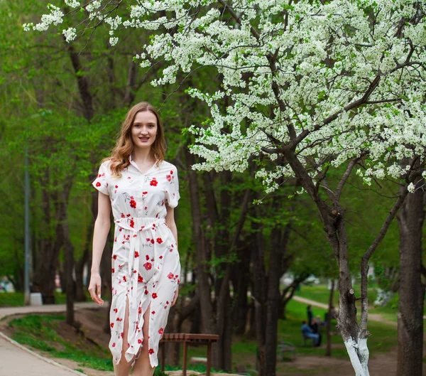 Портрет Молодой Красивой Женщины Белом Платье Позирующей Фоне Цветущей Вишни — стоковое фото
