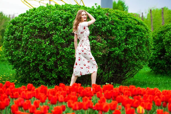 Celotělový Portrét Mladé Krásné Blondýny Pózující Pozadí Červených Tulipánů — Stock fotografie