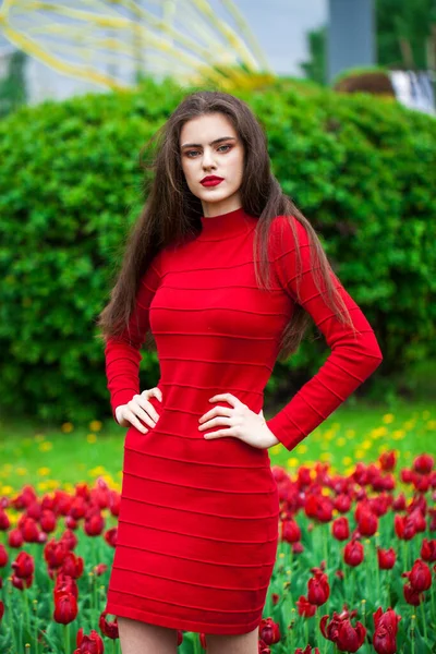 Lalelerin Arka Planında Poz Veren Kırmızı Elbiseli Güzel Esmer Bir — Stok fotoğraf
