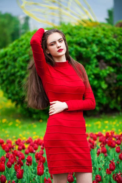 Retrato Cerca Una Joven Morena Hermosa Vestido Rojo Posando Sobre —  Fotos de Stock