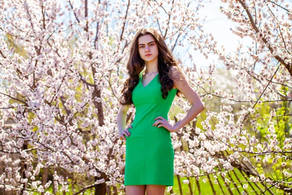 Schönheit Teenie Mädchen Grünem Kleid Posiert Der Nähe Blühen Kirschbaum — Stockfoto