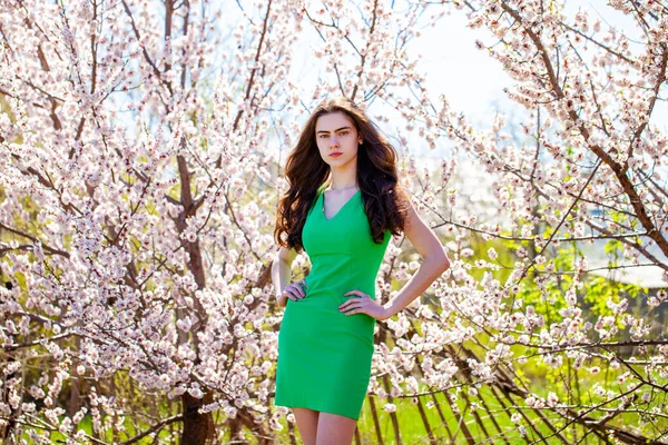 Belleza Chica Adolescente Vestido Verde Posando Cerca Flor Cerezo Con — Foto de Stock