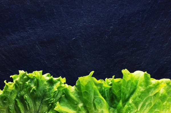 Fresh salad leaves — Stock Photo, Image