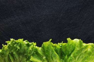 taze salata yaprakları kenarlık 