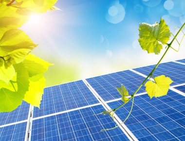 güneş panelleri ile yeşil yaprakları