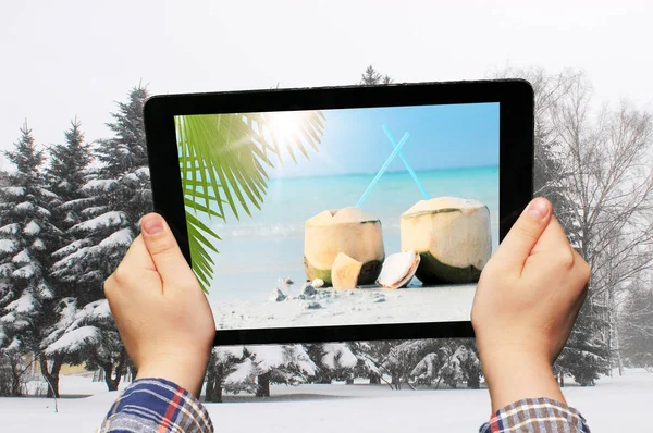 태블릿에 손바닥과 따뜻한 바다 — 스톡 사진