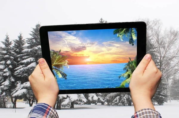 태블릿에 손바닥과 따뜻한 바다 — 스톡 사진
