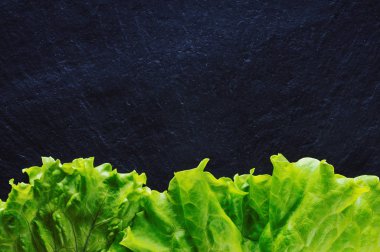 taze salata yaprakları