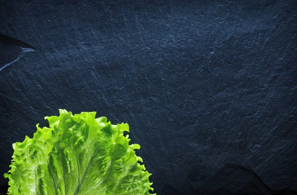 taze salata yaprağı