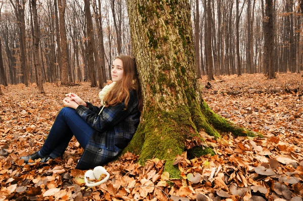 Menina Bonita Jovem Sentada Sob Uma Árvore Floresta Outono Com — Fotografia de Stock