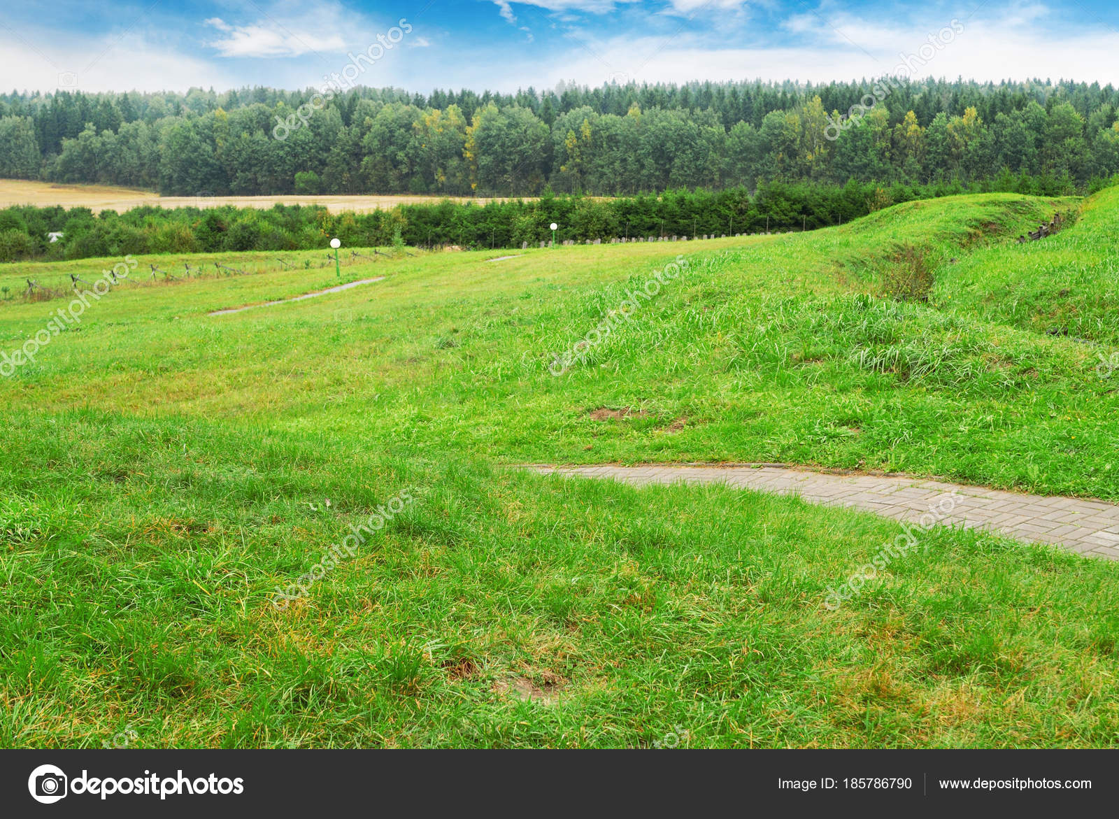 Paisaje estival con hierba verde y cielo azul — Foto de stock © jonson