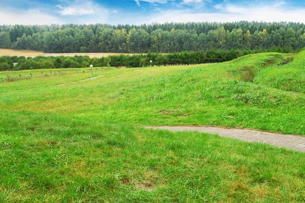 Green Grass Field Park Lane Forest Background Sky Clouds — Stock Photo, Image