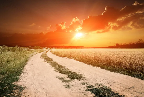 Grond Weg Veld Zonsondergang Achtergrond — Stockfoto