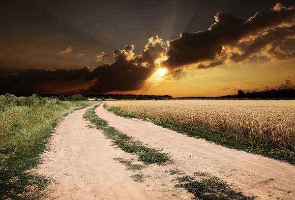 Grond Weg Veld Zonsondergang Achtergrond — Stockfoto