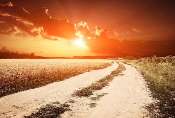 Наземна Дорога Полі Фоні Заходу Сонця — стокове фото