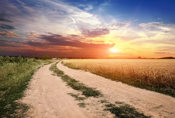 Erdweg Feld — Stockfoto