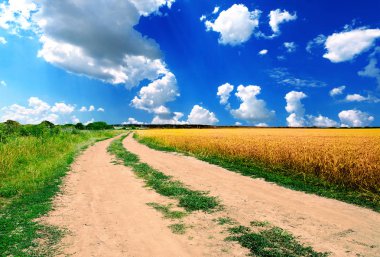 Buğday alan zemin yolunda