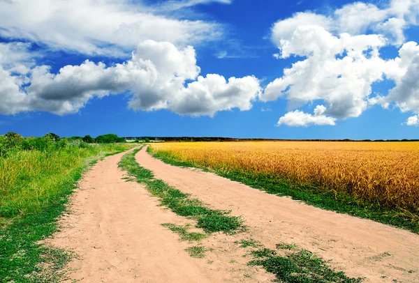 Grond Weg Veld Met Blauwe Lucht Witte Wolken — Stockfoto