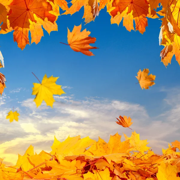Das Bunte Laub Herbstlichen Park — Stockfoto