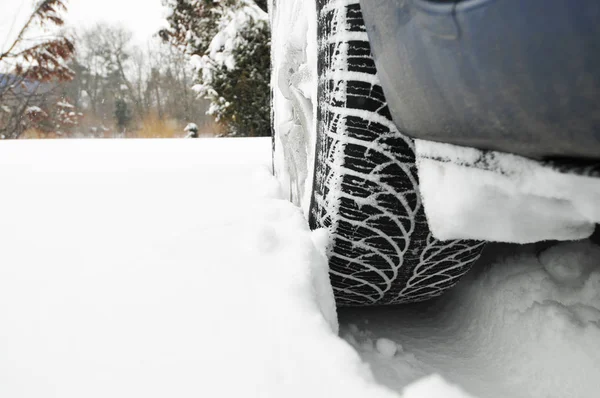 Auto Voorwiel Vast Zitten Witte Sneeuw Het Bos — Stockfoto
