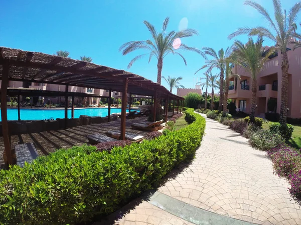 Alley with green bushes and high palms trees with hotel buildings and pool against blue clear sky