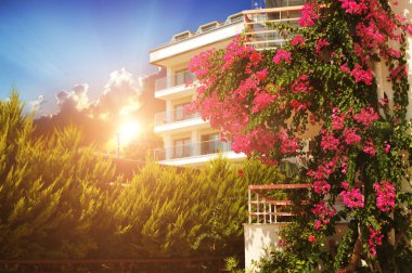 Otel ve bahçe, çalılar ve pembe çiçekler, gün batımına karşı.
