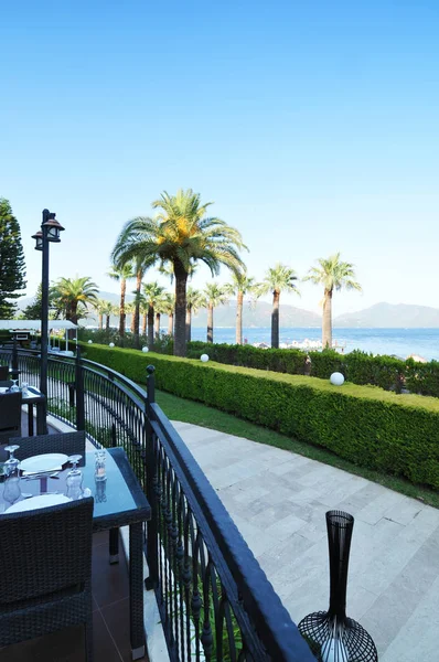 Outdoor Cafe Hoge Palmbomen Met Groene Struiken Het Strand Met — Stockfoto