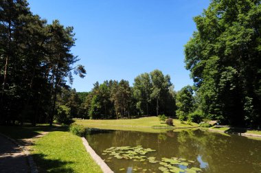 Yeşil ağaçlı ve mavi gökyüzü büyük gölete yansıyan spor parkı