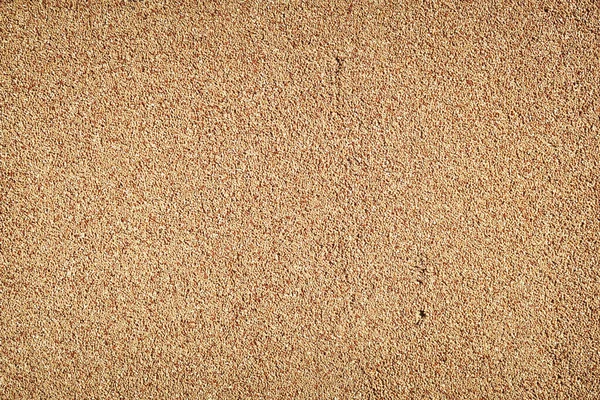 Sans Couture Grain Sable Texture Fond — Photo