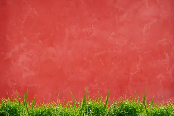 Абстрактный Красный Фактурный Фон Стены Травой — стоковое фото