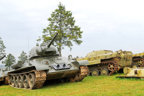 Старые военные танки на траве с деревьями против белого неба
