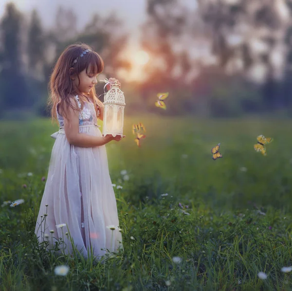 Kleines Mädchen mit Schmetterlingen bei Sonnenuntergang — Stockfoto